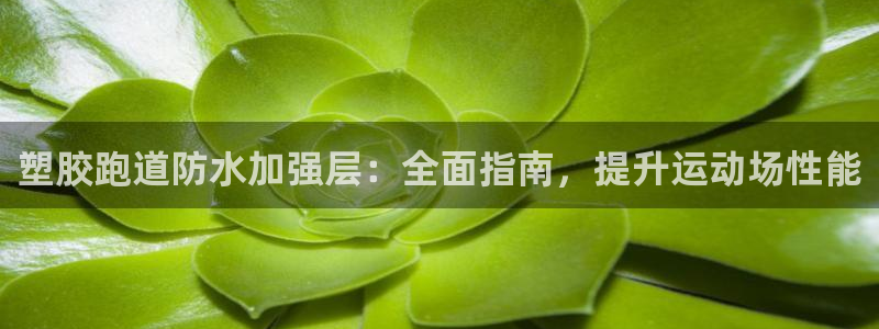 尊龙凯时网站首页手机登录：塑胶跑道防水加强层：全面指