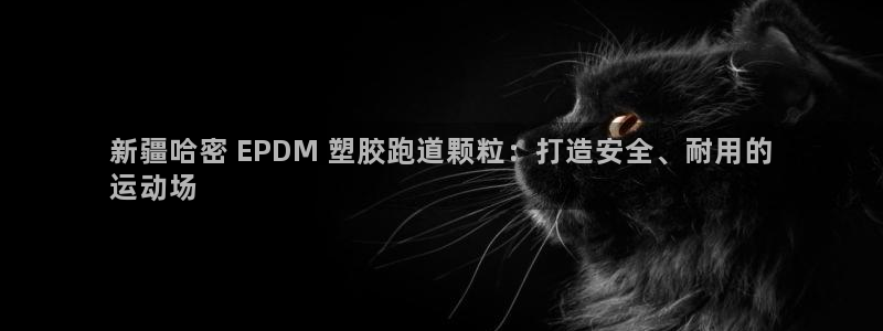 凯时APP官网首页：新疆哈密 EPDM 塑胶跑道颗粒