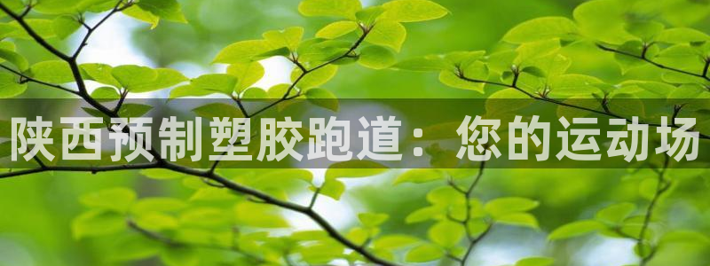 尊龙凯时网站登录