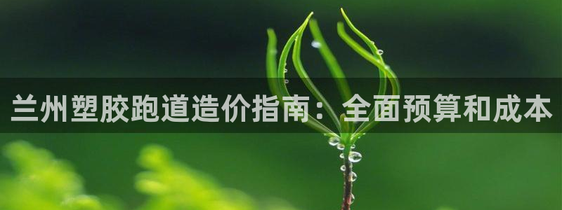 尊龙凯时取款24小时不到账：兰州塑胶跑道造价指南：全面预算和成本