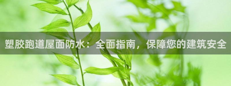 kb88凯时唯一官网注册：塑胶跑道屋面防水：全面指南