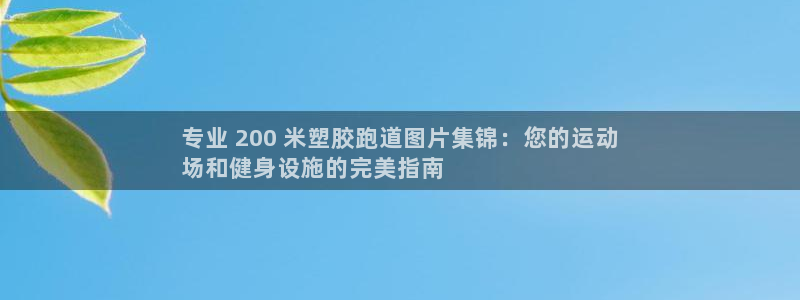 尊龙凯时网站赌愽做假吗：专业 200 米塑胶跑道图片集锦：您的运动
场和健身设施的完美指南