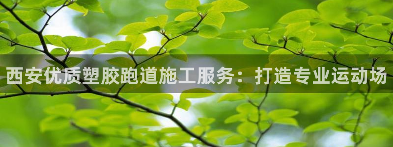 有人在凯时赢过钱吗：西安优质塑胶跑道施工服务：打造专业运动场