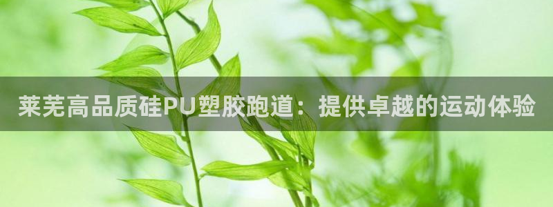 尊龙登录：莱芜高品质硅PU塑胶跑道：提供卓越的运动体验