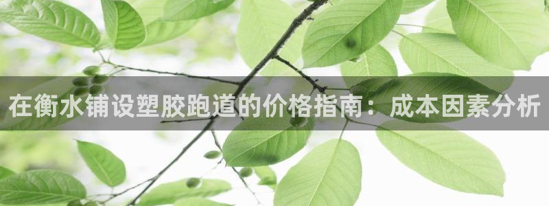 尊龙app注册官网：在衡水铺设塑胶跑道的价格指南：成本因素分析