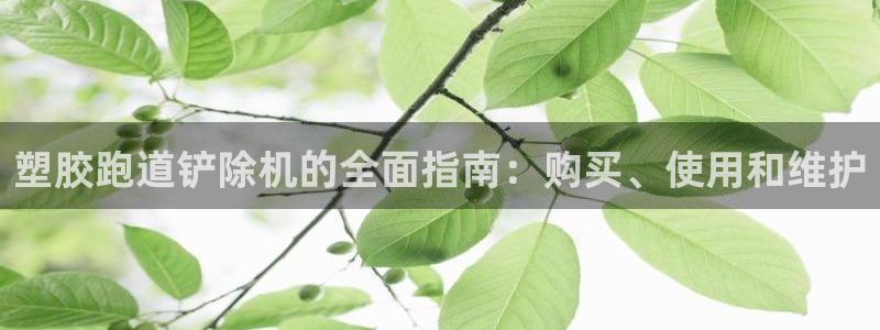 尊龙凯时网娱乐最新版下载：塑胶跑道铲除机的全面指南：购买、使用和维护